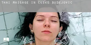 Telephones  of parlors nude massage  in Ceske Budejovice, Czech Republic 